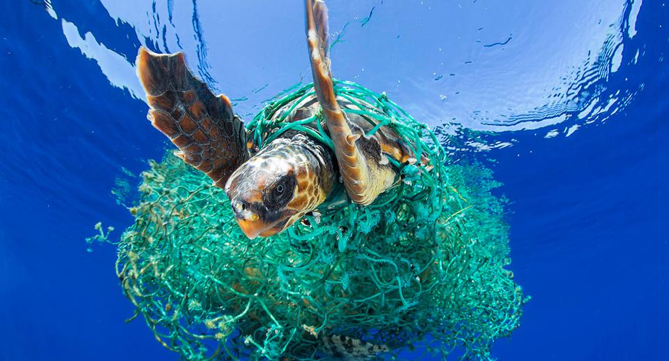 Plastic in the ocean