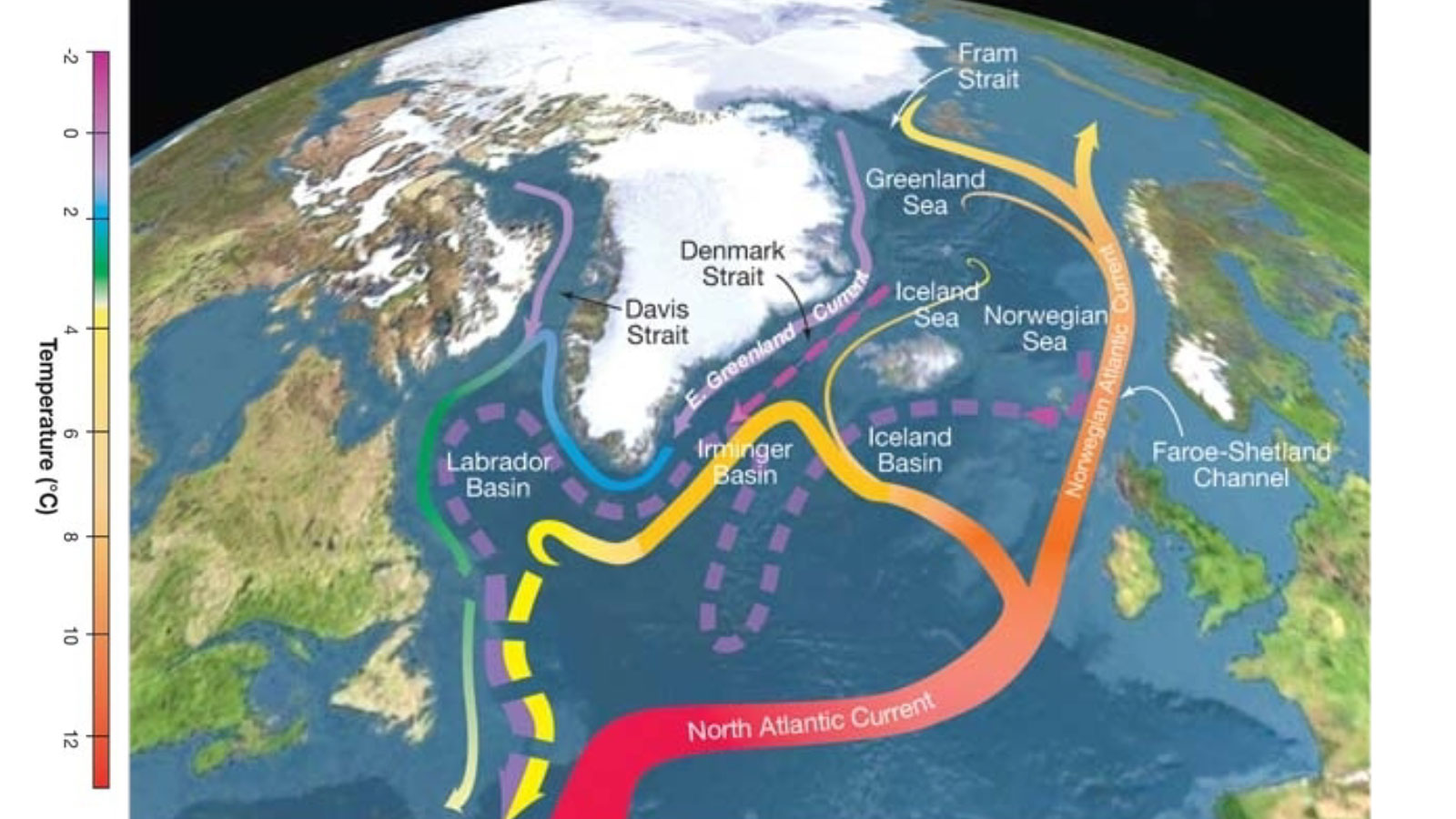 effects of global warming